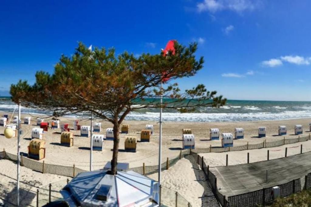 דאהמה Seeblick 2 מראה חיצוני תמונה